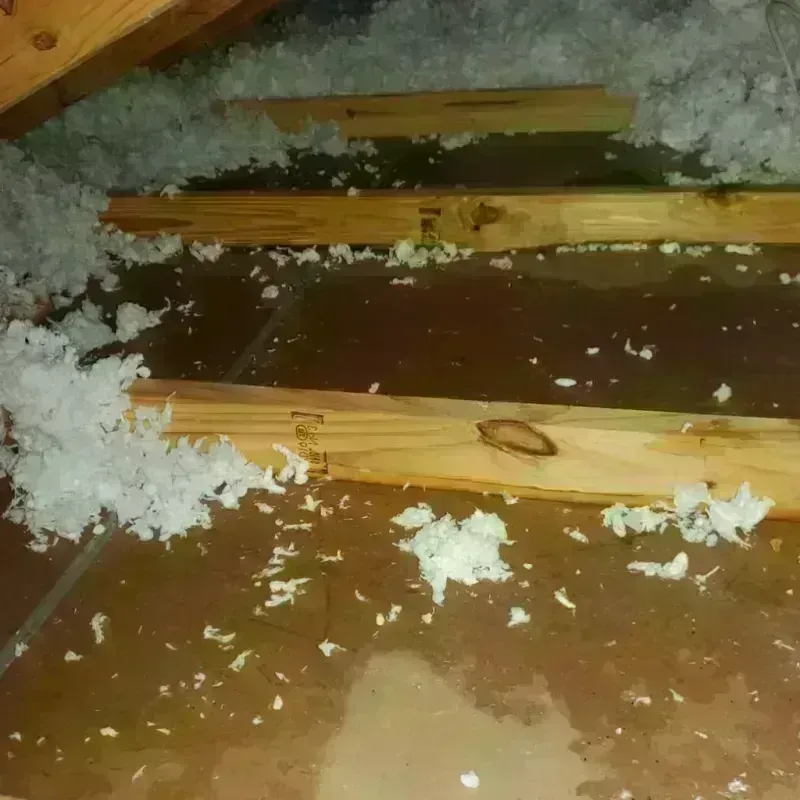 Attic Water Damage in Woodford County, IL