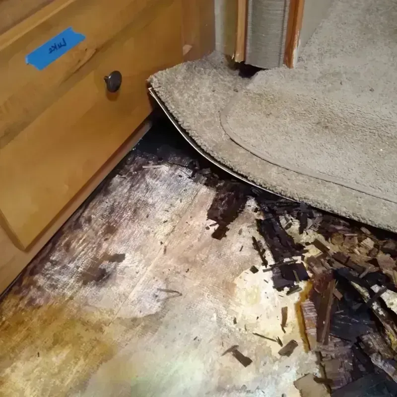 Wood Floor Water Damage in Woodford County, IL